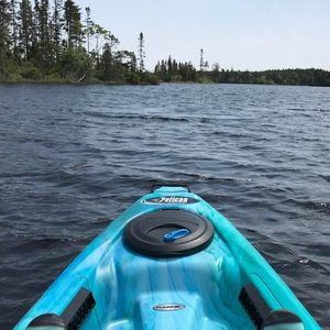 Meet your Posher, Carol